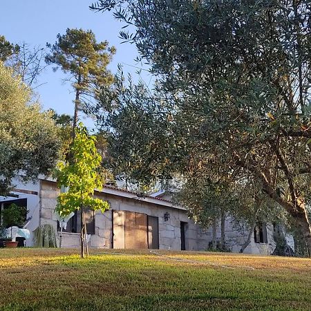 Maison d'hôtes Quinta Da Pedra Mija à Santar Extérieur photo