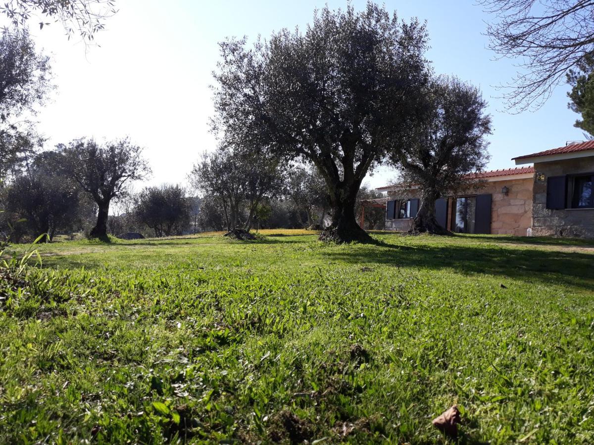 Maison d'hôtes Quinta Da Pedra Mija à Santar Extérieur photo