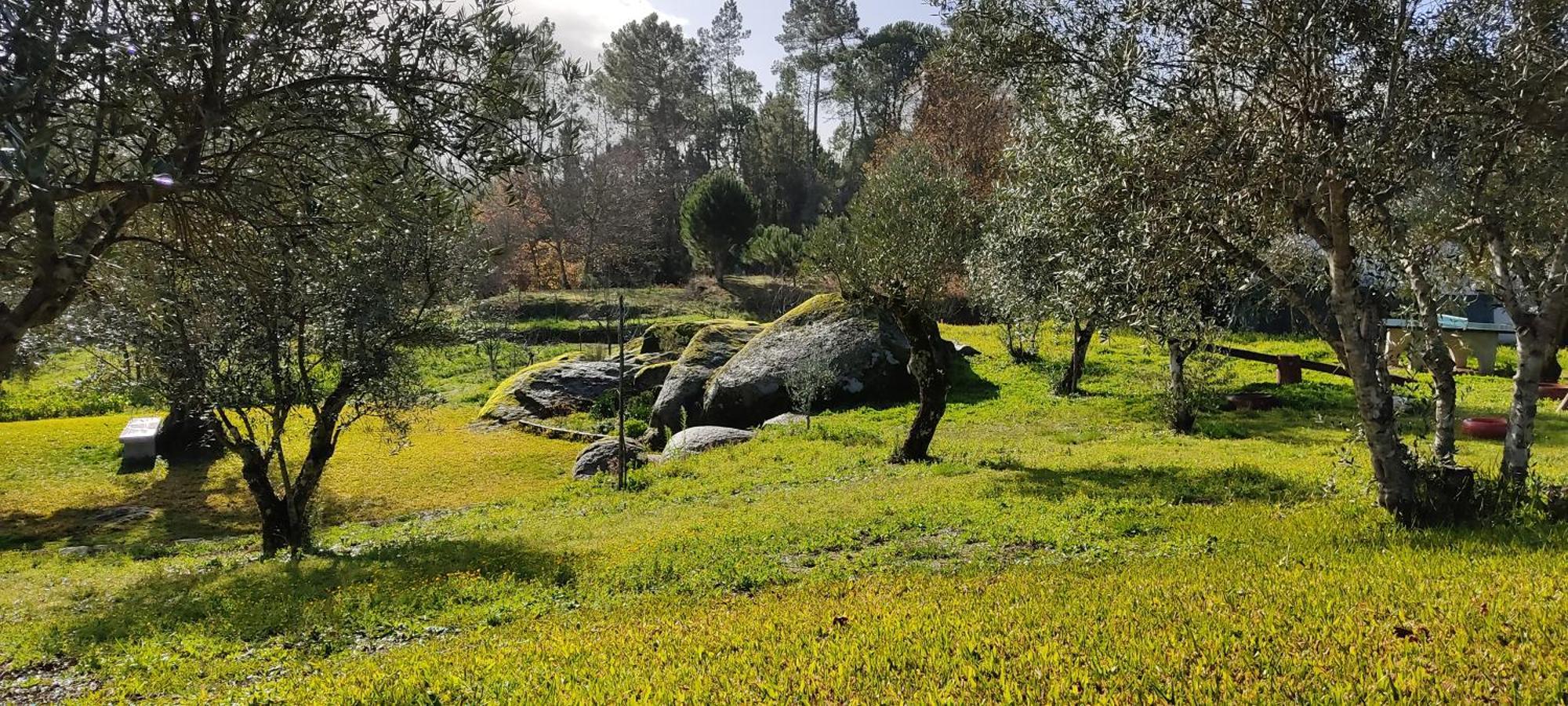 Maison d'hôtes Quinta Da Pedra Mija à Santar Extérieur photo