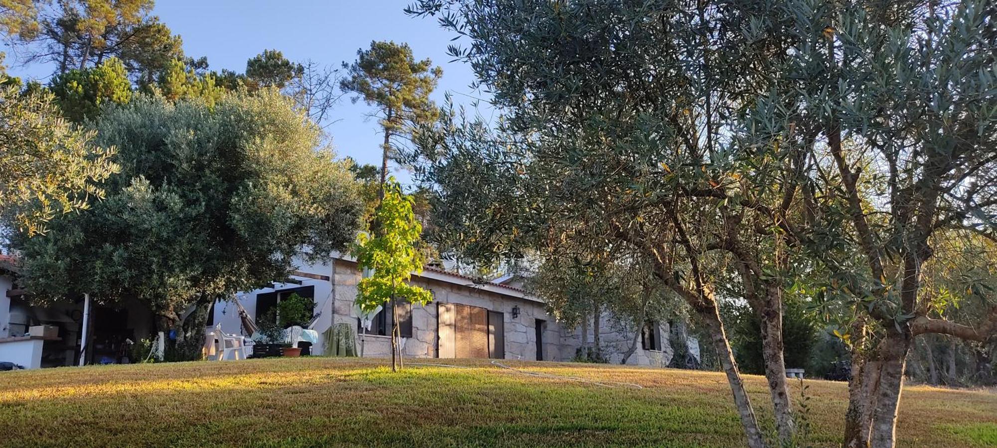 Maison d'hôtes Quinta Da Pedra Mija à Santar Extérieur photo