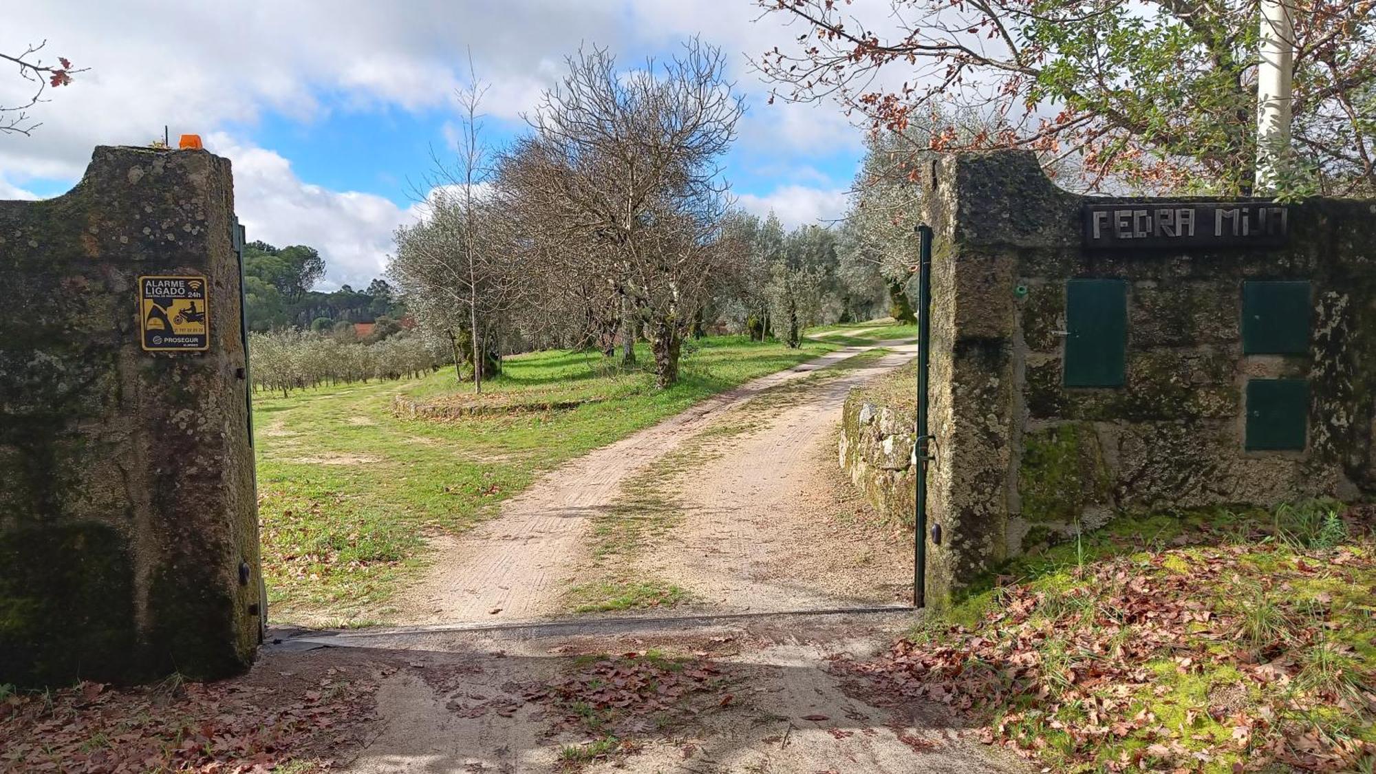 Maison d'hôtes Quinta Da Pedra Mija à Santar Extérieur photo