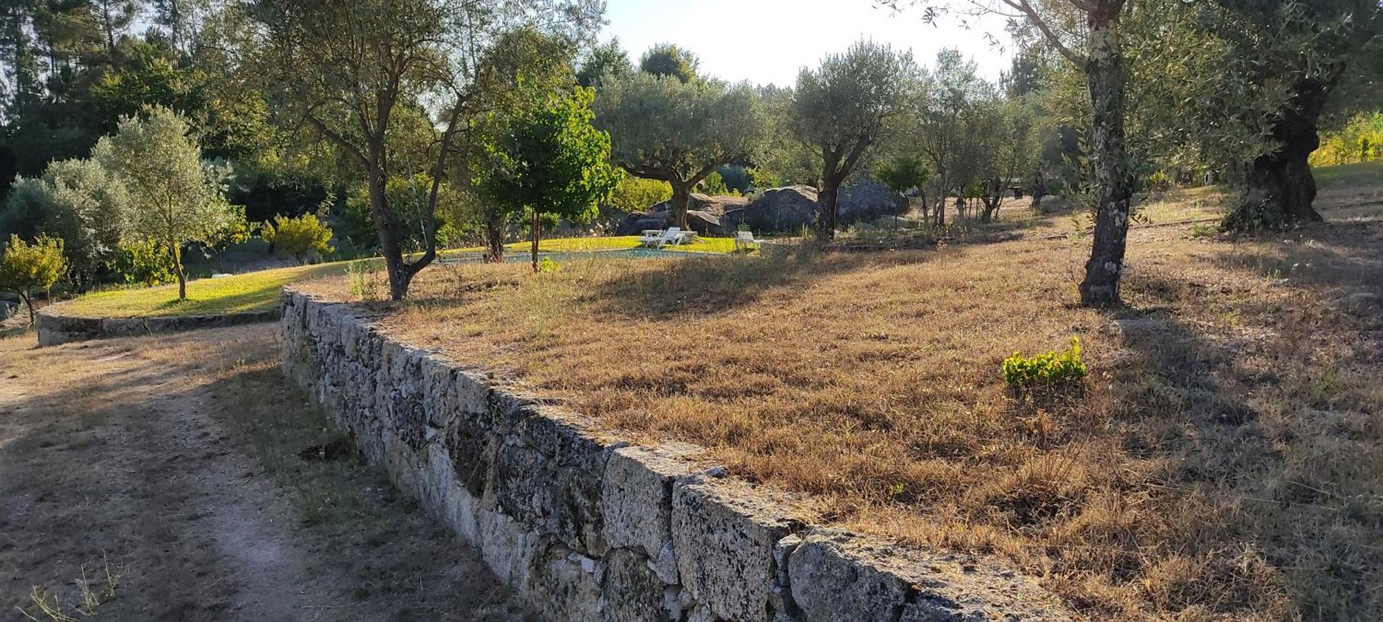Maison d'hôtes Quinta Da Pedra Mija à Santar Extérieur photo