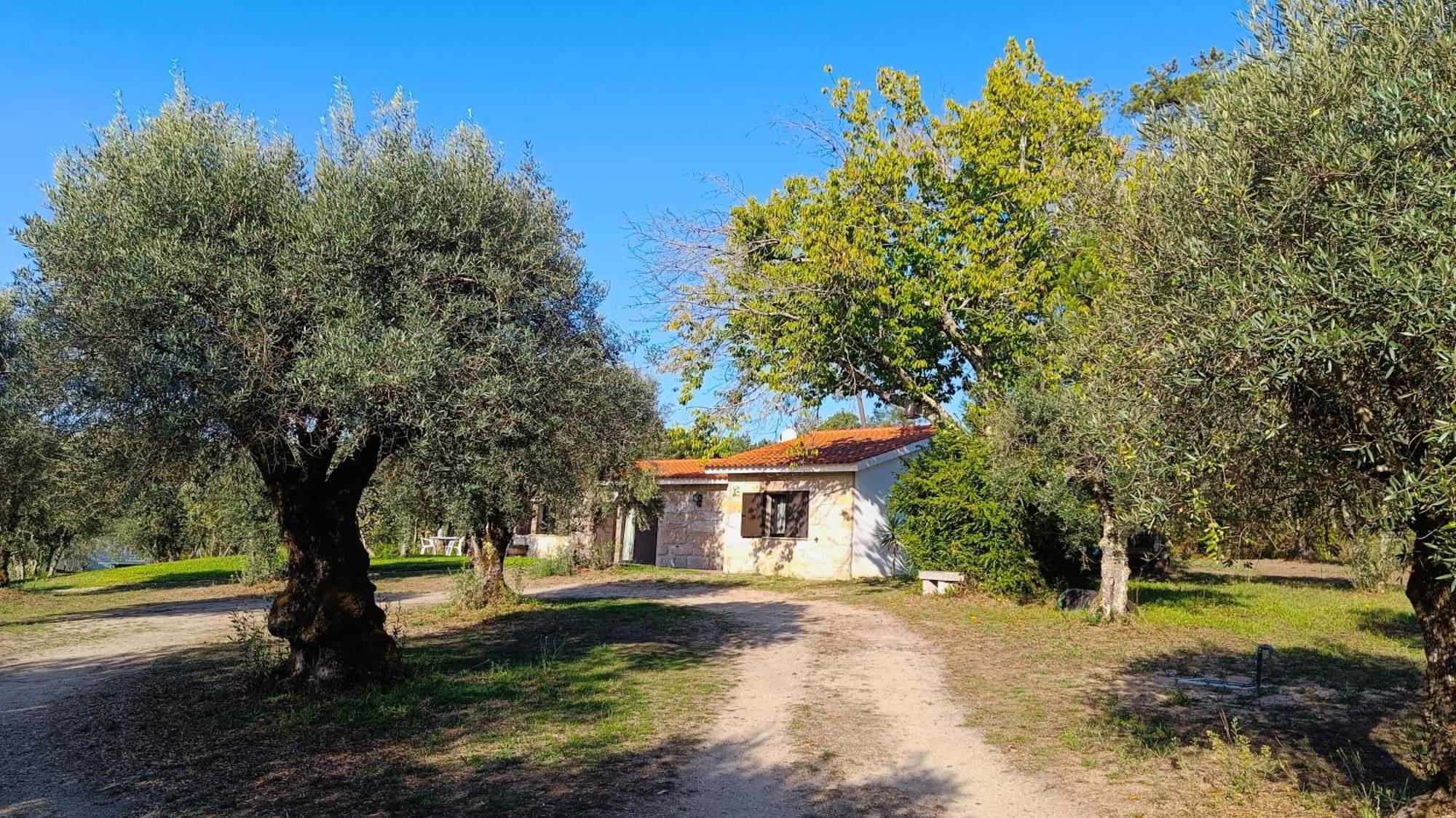 Maison d'hôtes Quinta Da Pedra Mija à Santar Extérieur photo