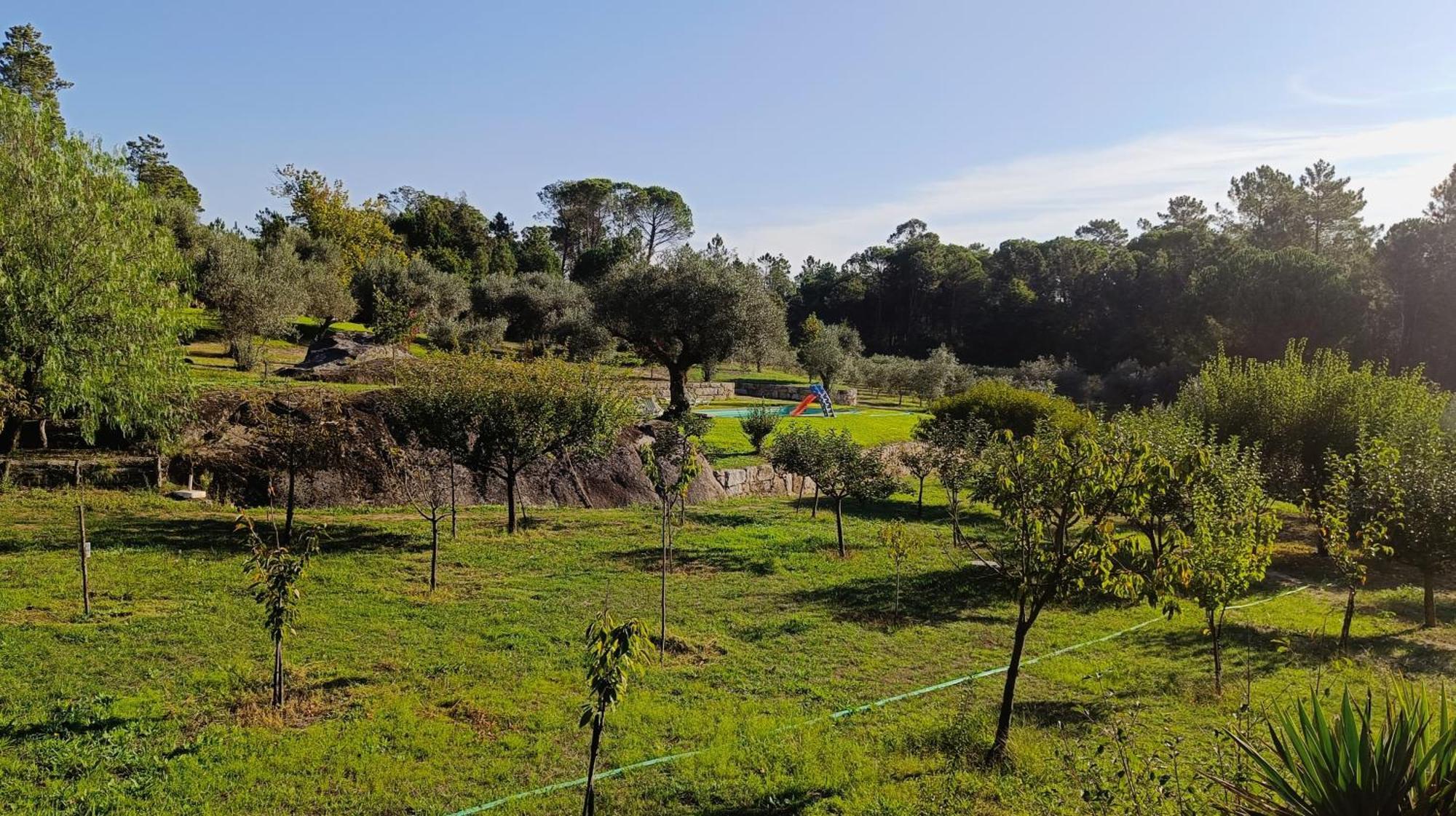 Maison d'hôtes Quinta Da Pedra Mija à Santar Extérieur photo