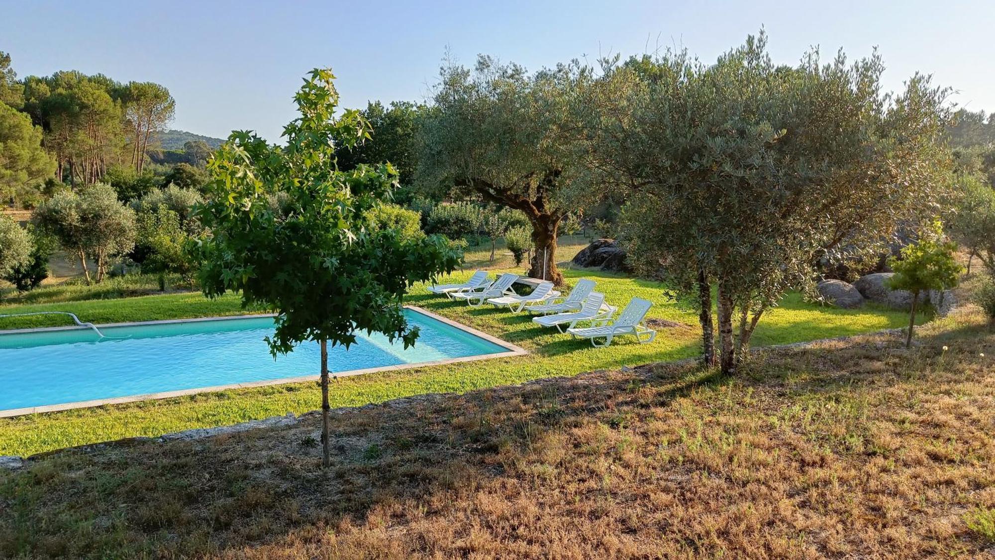 Maison d'hôtes Quinta Da Pedra Mija à Santar Extérieur photo