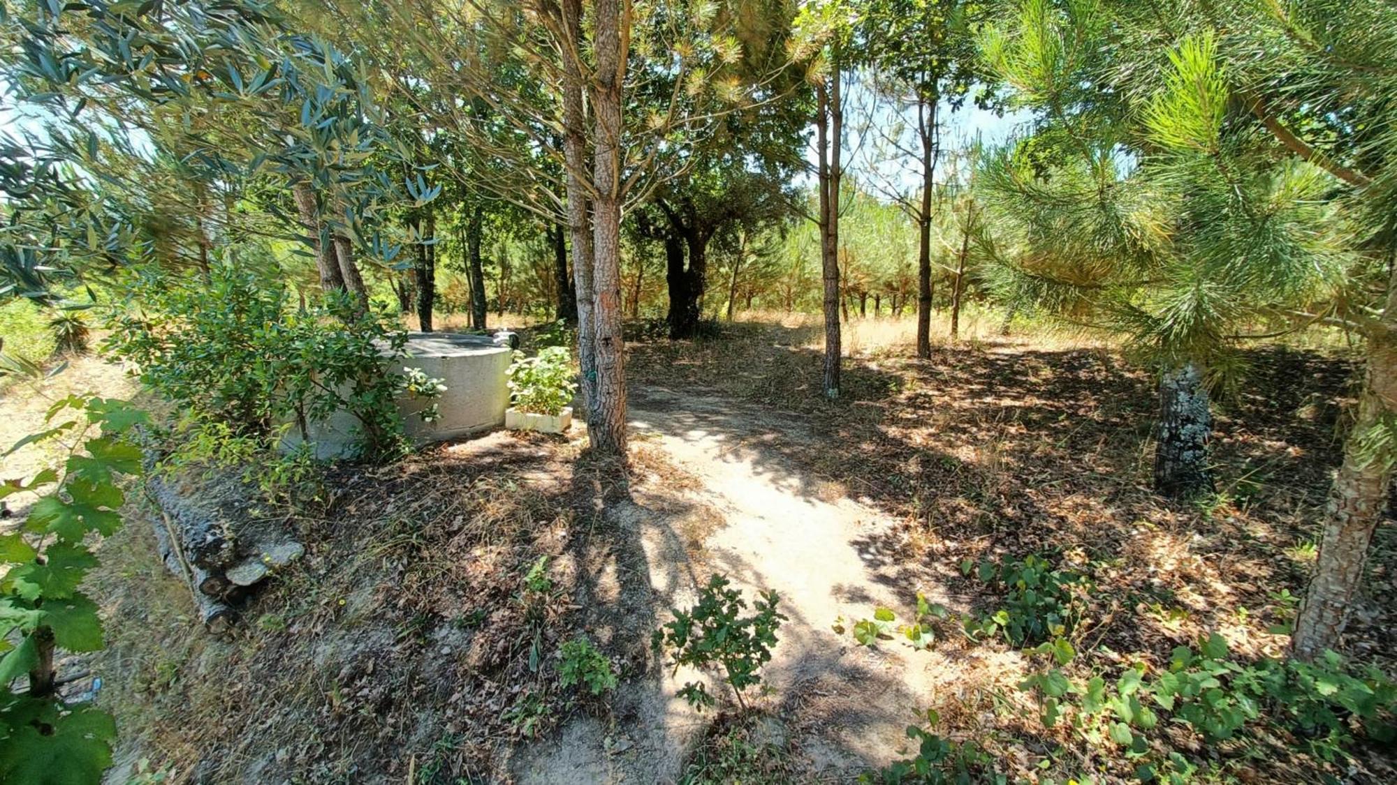 Maison d'hôtes Quinta Da Pedra Mija à Santar Extérieur photo