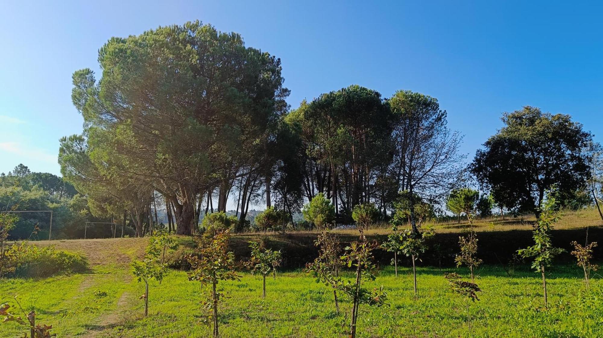 Maison d'hôtes Quinta Da Pedra Mija à Santar Extérieur photo