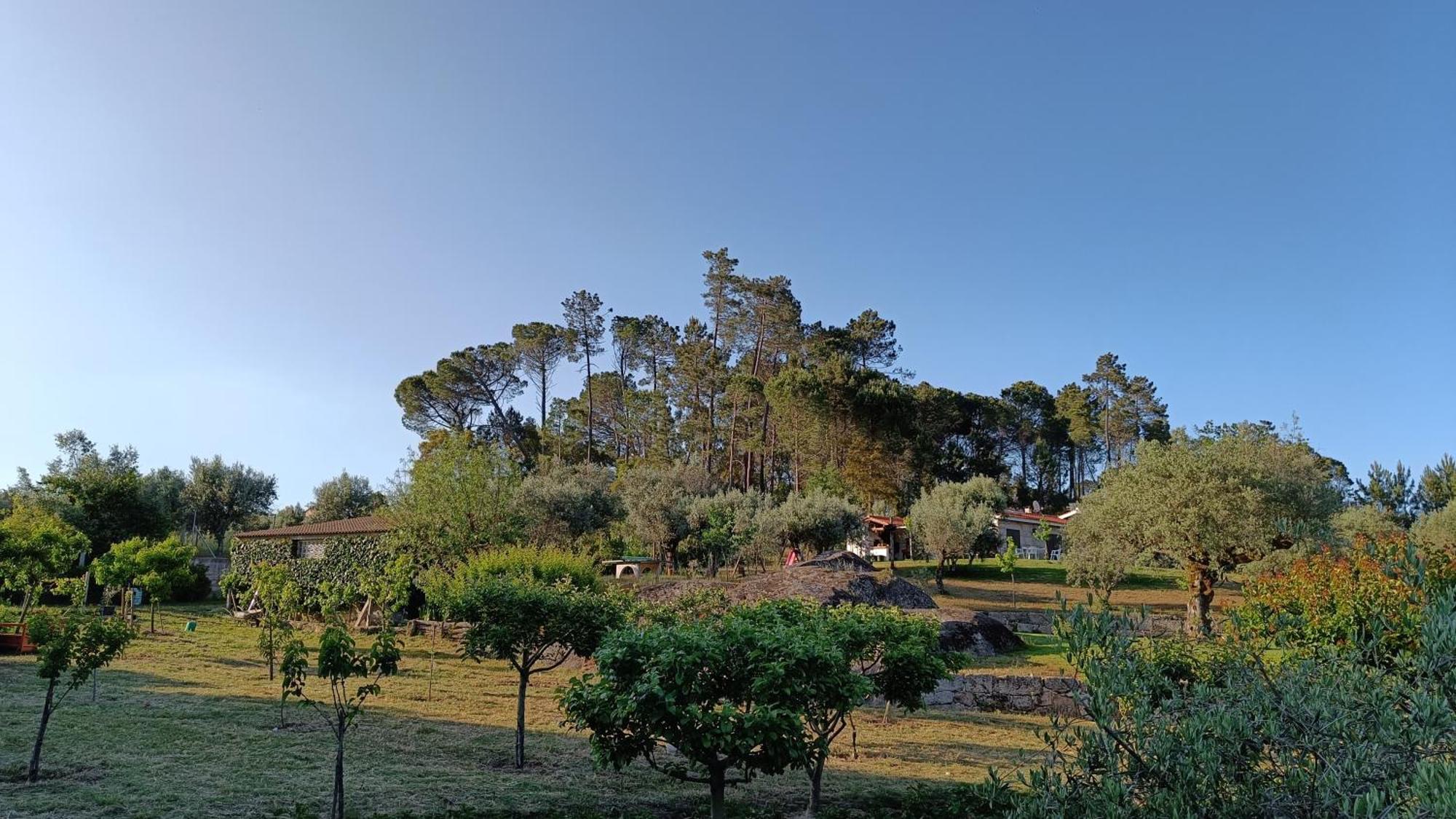 Maison d'hôtes Quinta Da Pedra Mija à Santar Extérieur photo