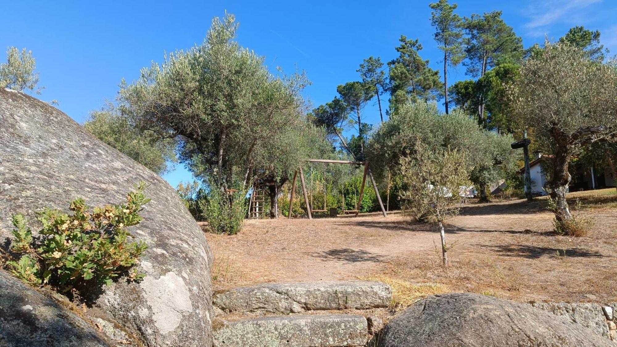 Maison d'hôtes Quinta Da Pedra Mija à Santar Extérieur photo