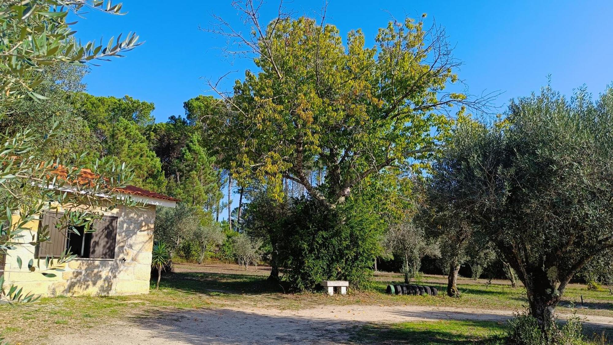 Maison d'hôtes Quinta Da Pedra Mija à Santar Extérieur photo
