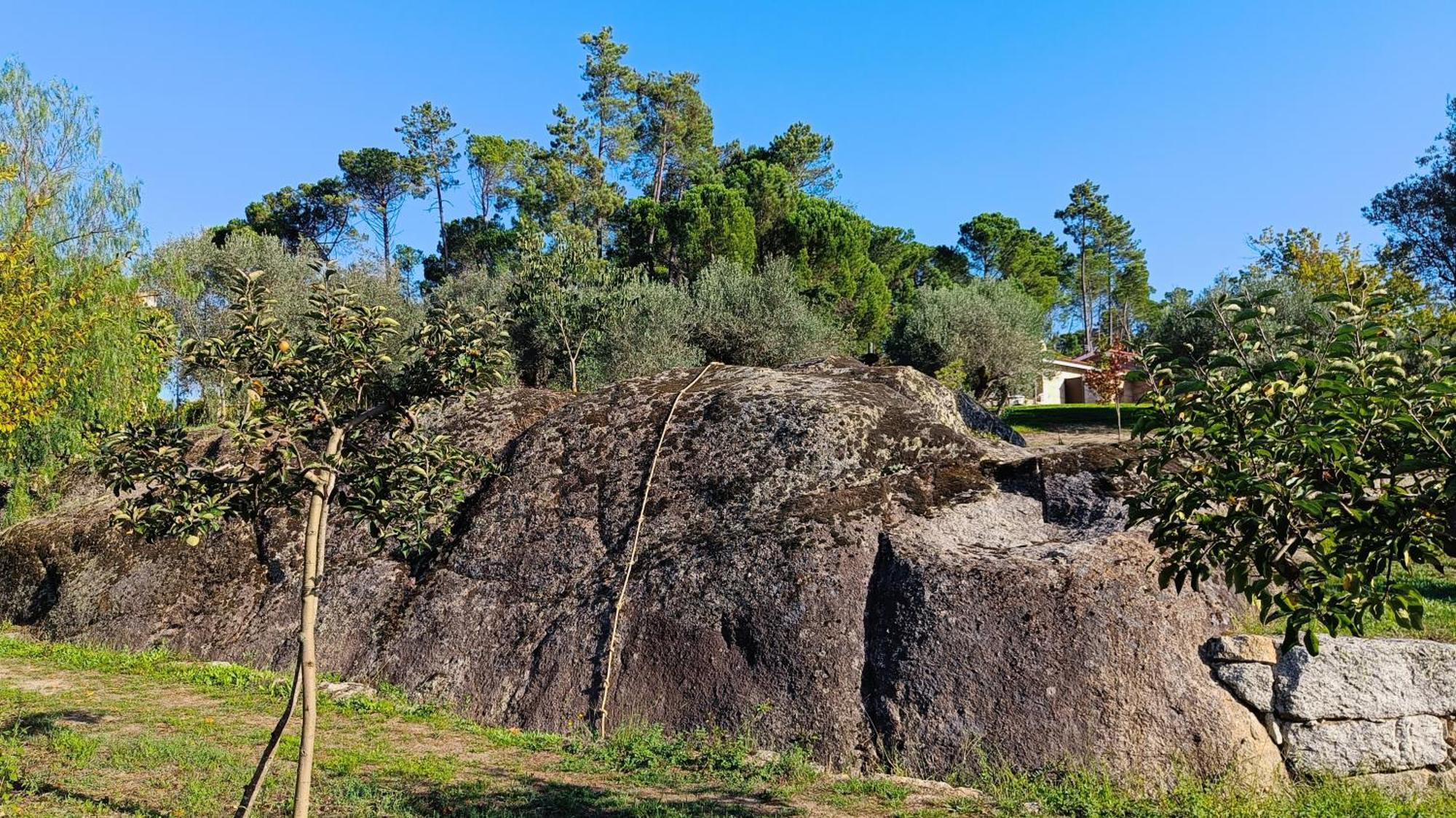 Maison d'hôtes Quinta Da Pedra Mija à Santar Extérieur photo