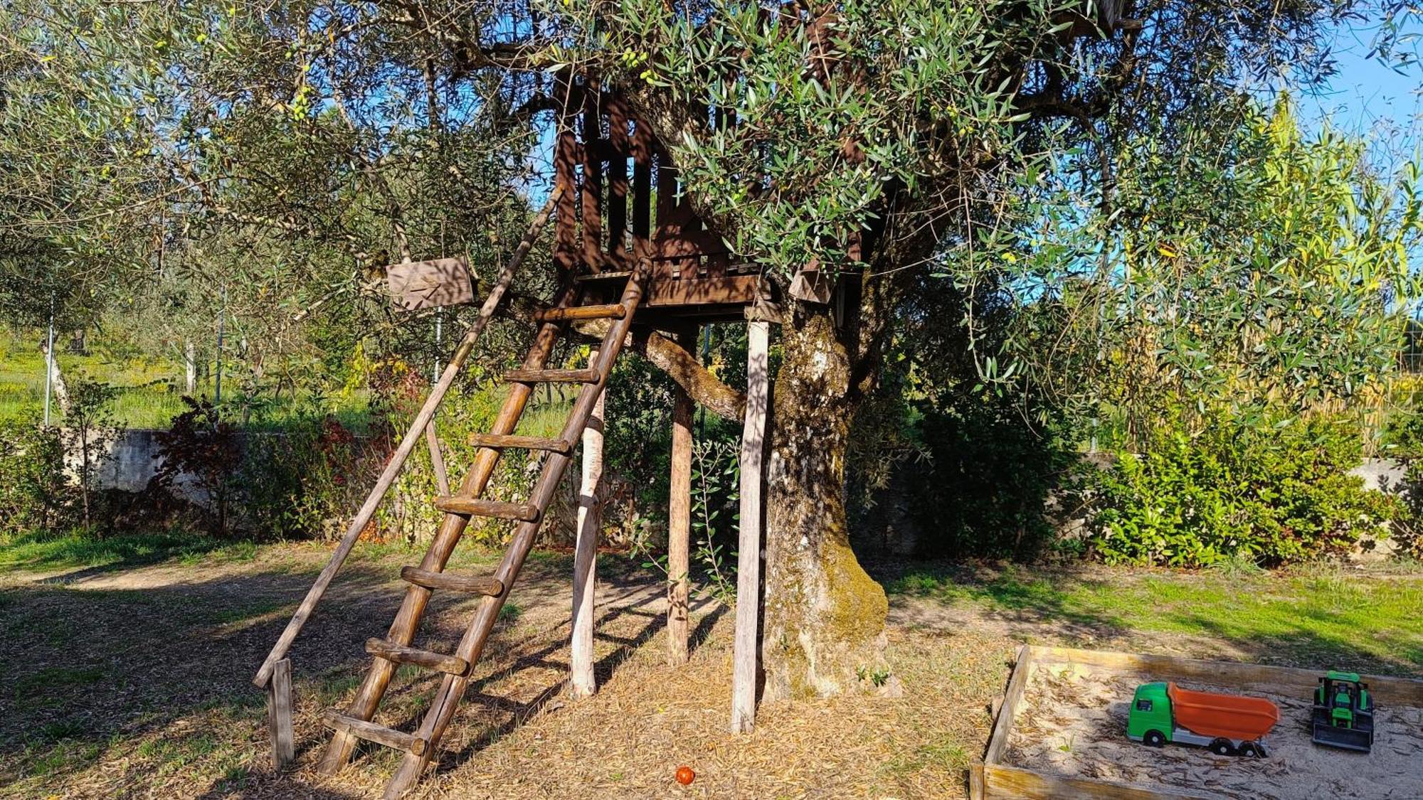 Maison d'hôtes Quinta Da Pedra Mija à Santar Extérieur photo