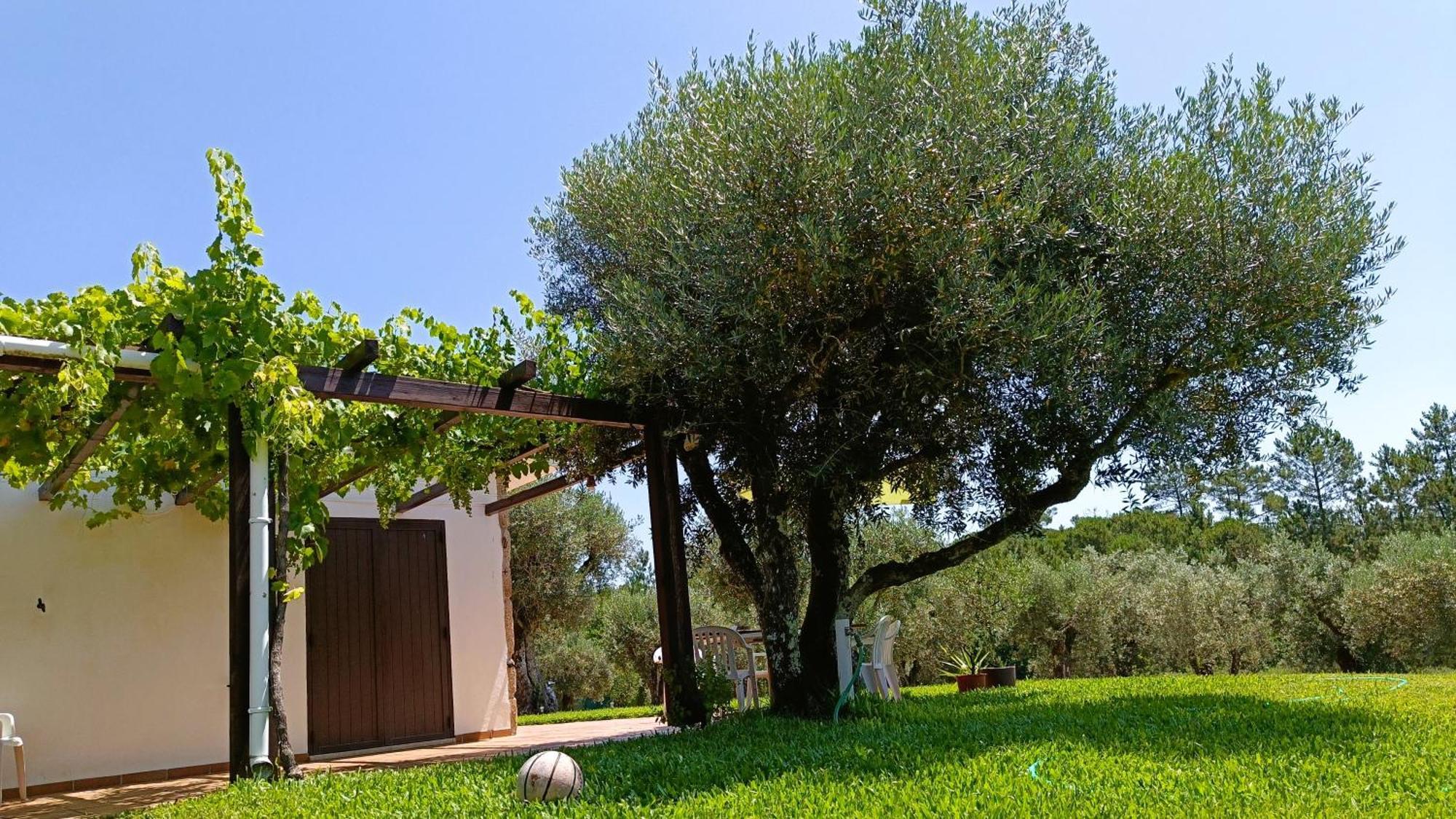 Maison d'hôtes Quinta Da Pedra Mija à Santar Extérieur photo