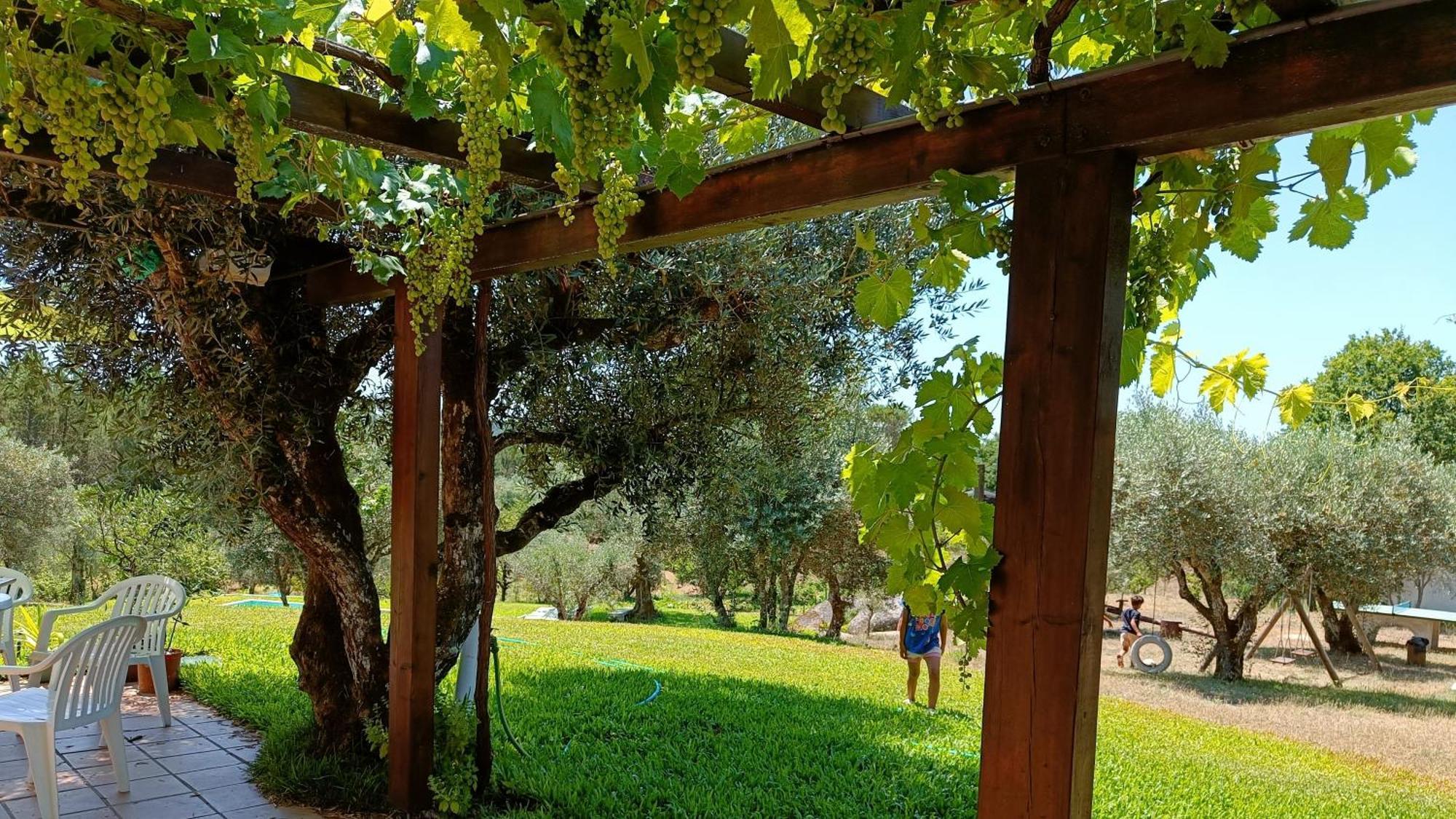 Maison d'hôtes Quinta Da Pedra Mija à Santar Extérieur photo