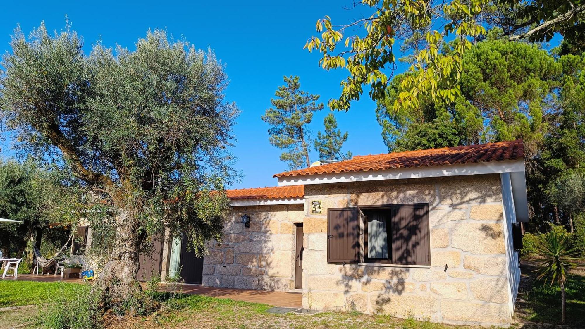 Maison d'hôtes Quinta Da Pedra Mija à Santar Extérieur photo