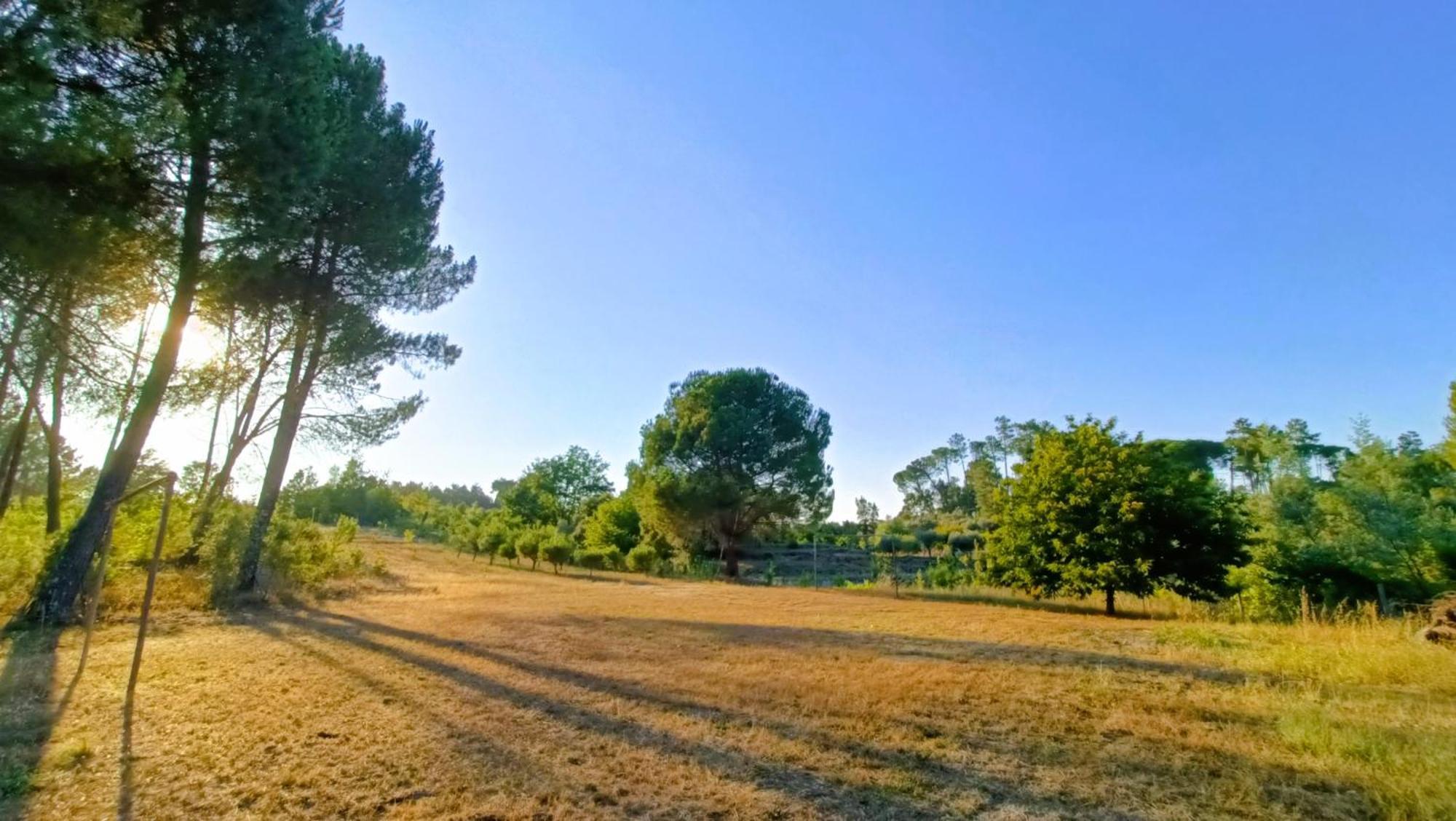 Maison d'hôtes Quinta Da Pedra Mija à Santar Extérieur photo