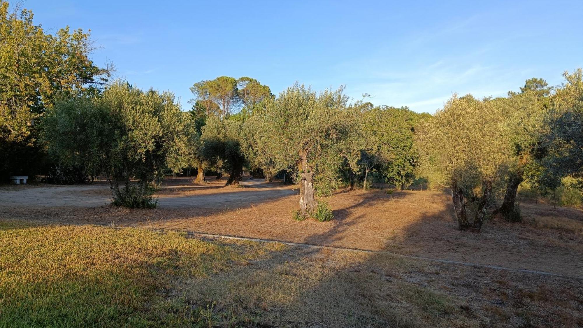 Maison d'hôtes Quinta Da Pedra Mija à Santar Extérieur photo