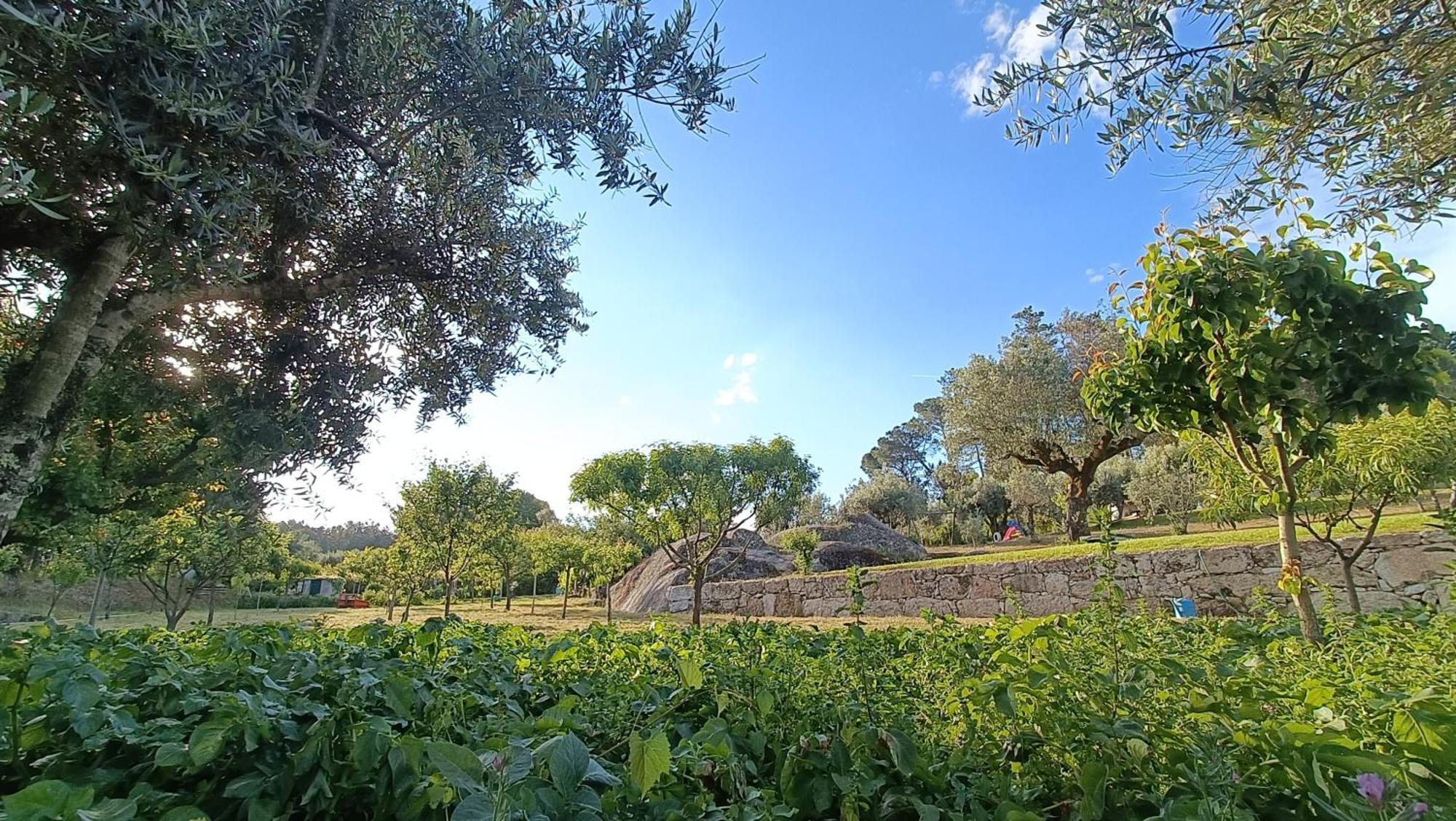 Maison d'hôtes Quinta Da Pedra Mija à Santar Extérieur photo