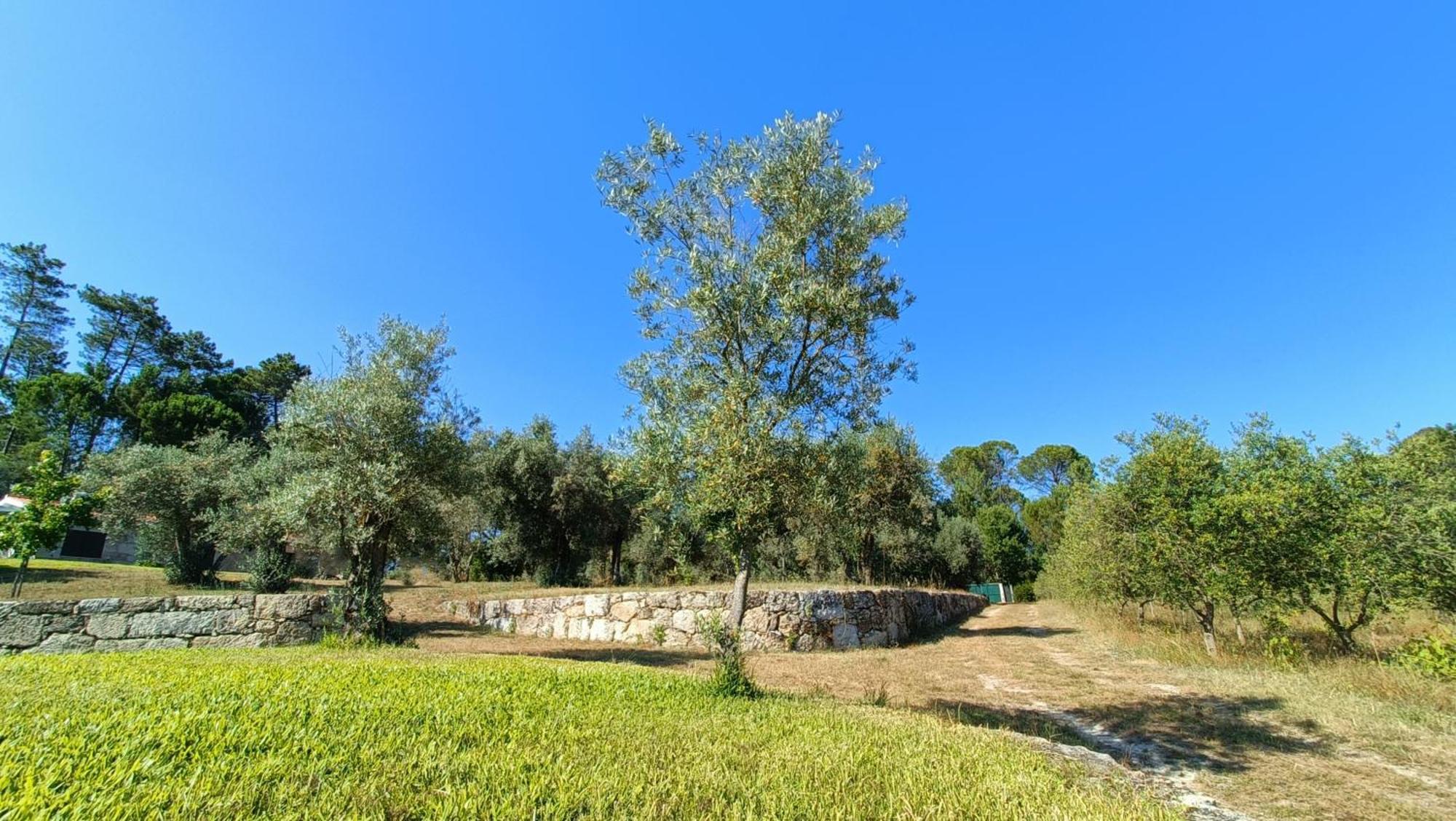Maison d'hôtes Quinta Da Pedra Mija à Santar Extérieur photo